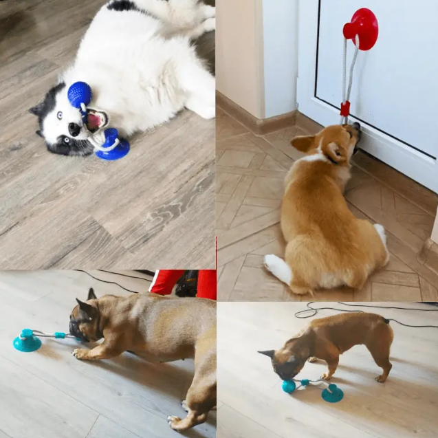 JUEGUETE DOG PREMIUM | ENVÍO GRATIS