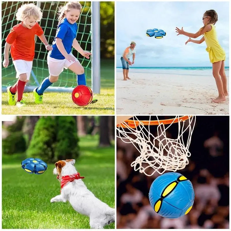 PELOTA DISCO | ENVÍO GRATIS