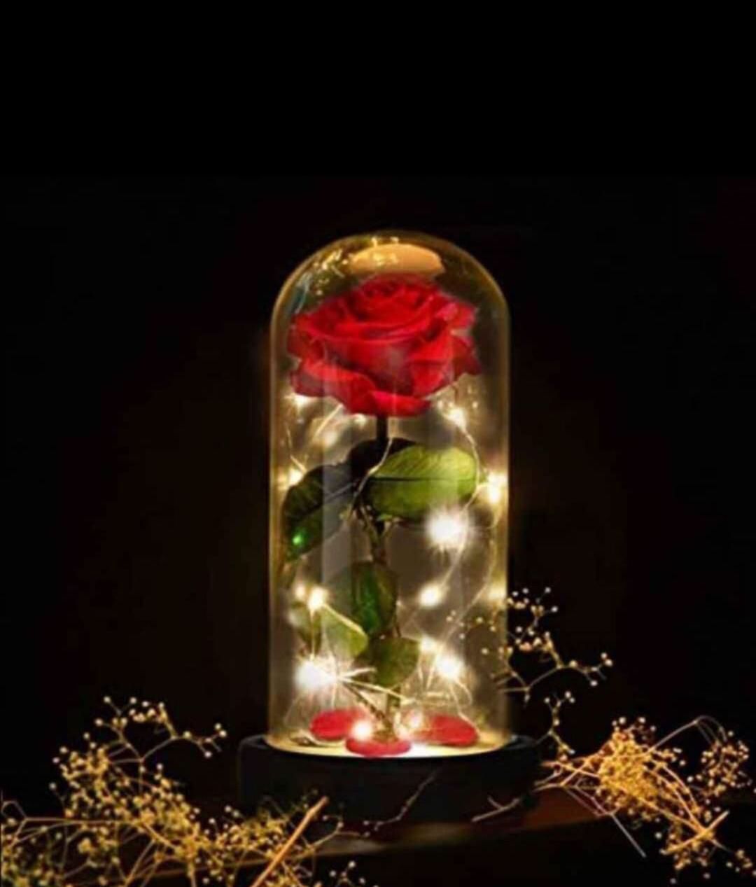Rosa para toda la vida DETALLE ETERNO