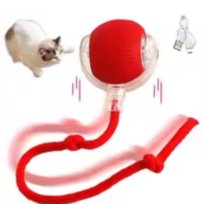 LUMIPET| ENVÍO GRATIS