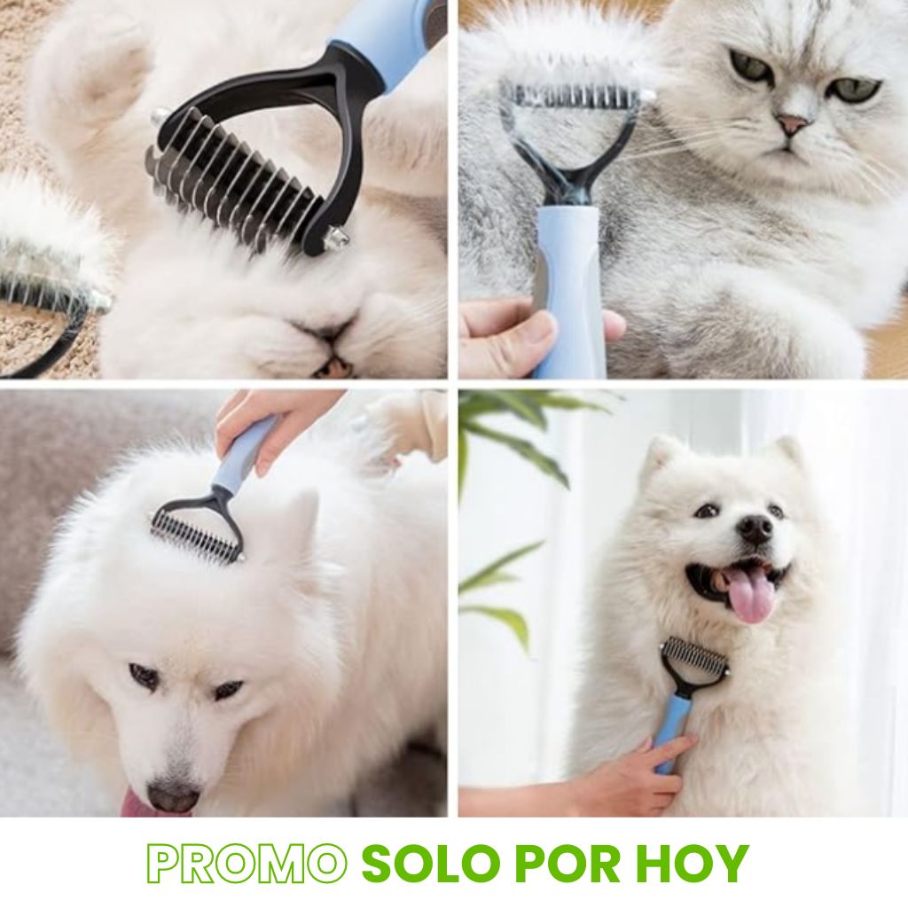 Kit acicalador de mascota Premiun | ENVÍO GRATIS