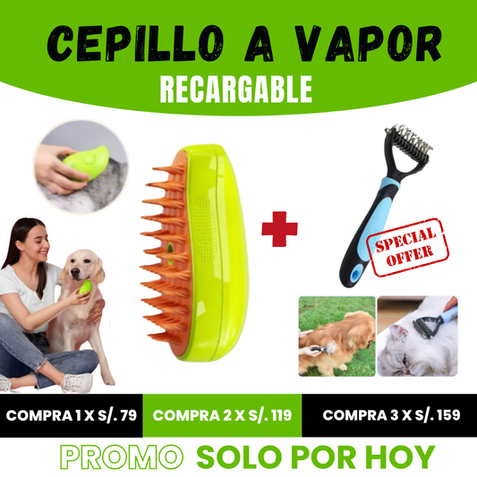 CEPILLO A VAPOR RECARGABLE | ENVIO GRATIS