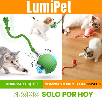 LUMIPET| ENVÍO GRATIS